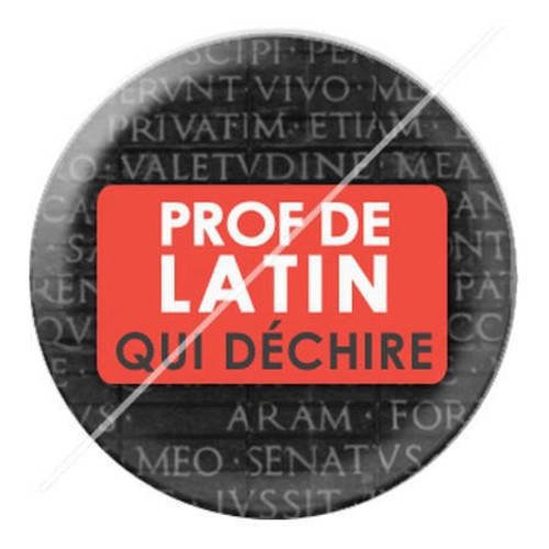 Cabochon résine a coller 25 mm prof de latin 10 