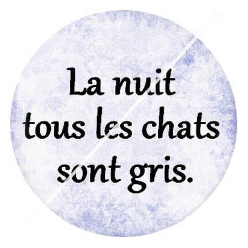 Cabochon résine a coller 25 mm citation sur les chats 8 