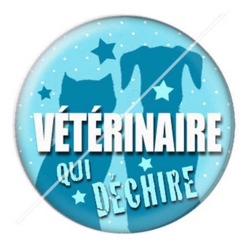 Cabochon résine a coller 25 mm vétérinaire 12 