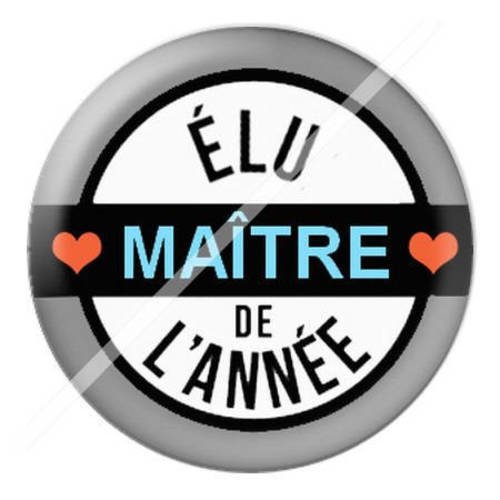 Cabochon résine a coller 25 mm pour maître 9 