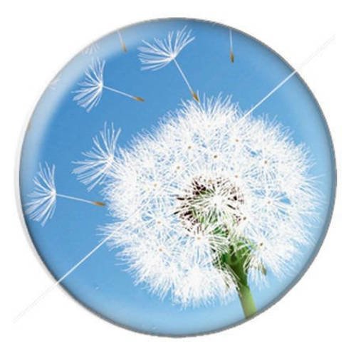 Cabochon résine a coller 25 mm pissenlit wish 14 