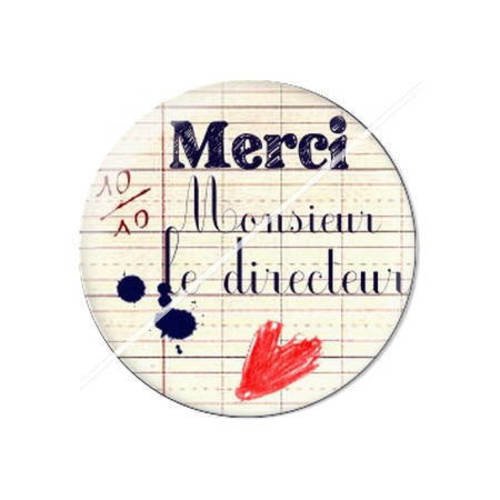 Cabochon résine a coller 25 mm pour directeur 5 