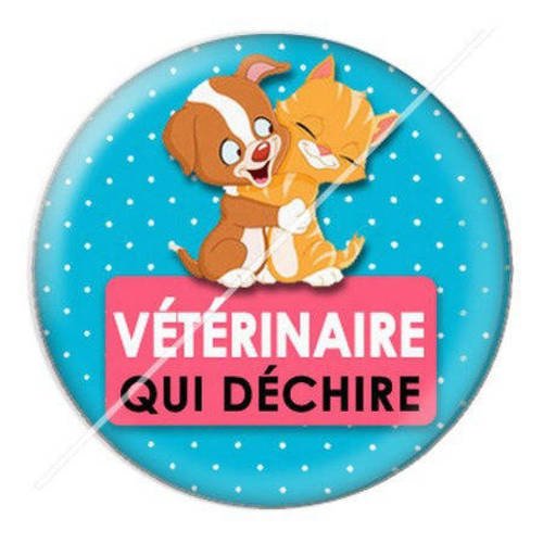 Cabochon résine a coller 25 mm vétérinaire 6 