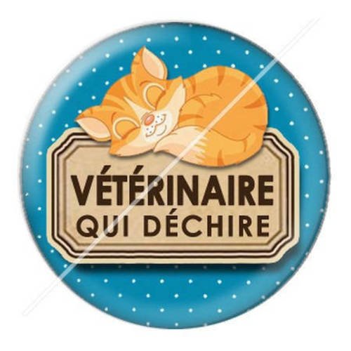 Cabochon résine a coller 25 mm vétérinaire 11 
