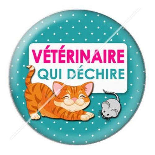 Cabochon résine a coller 25 mm vétérinaire 5 