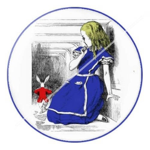 Cabochon résine a coller 25 mm à alice c3 