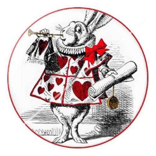 Cabochon résine a coller 25 mm à alice c8 