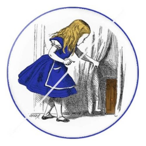 Cabochon résine a coller 25 mm à alice c1 