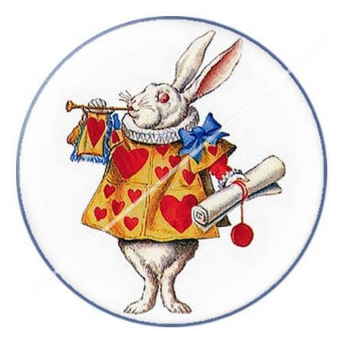 Cabochon résine a coller 25 mm à alice c14 