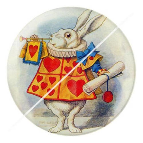 Cabochon résine a coller 25 mm à alice b1 