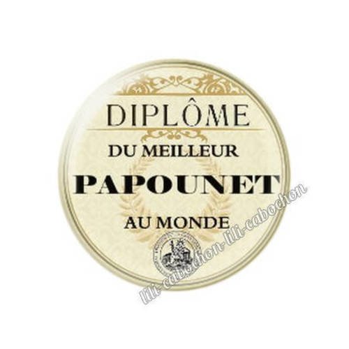 Cabochon en résine époxy 25 mm  thème diplôme papounet