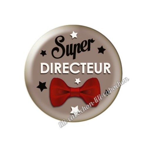 Cabochon résine a coller 25 mm directeur az9