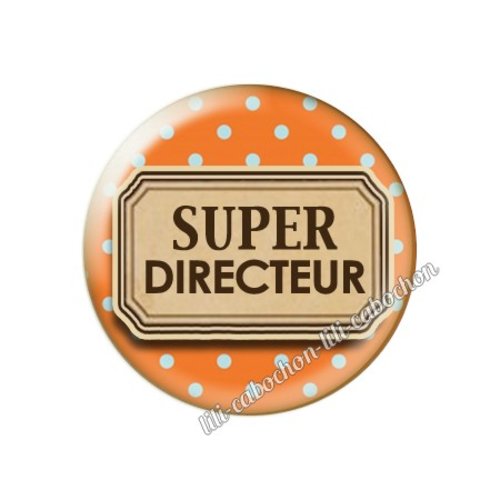 Cabochon résine a coller 25 mm directeur az10