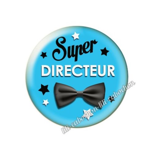 Cabochon résine a coller 25 mm directeur az12