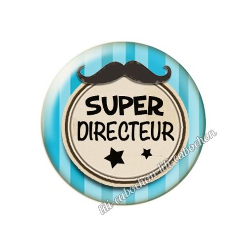 Cabochon résine a coller 25 mm directeur az13