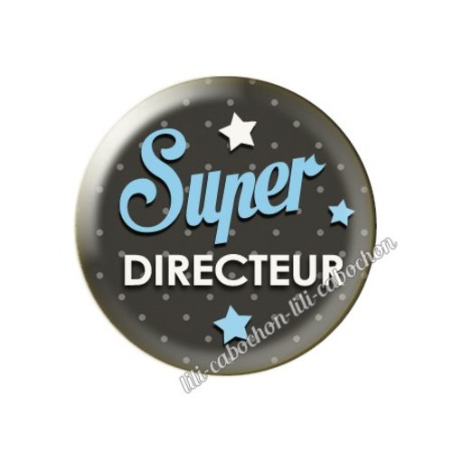 Cabochon résine a coller 25 mm directeur az15