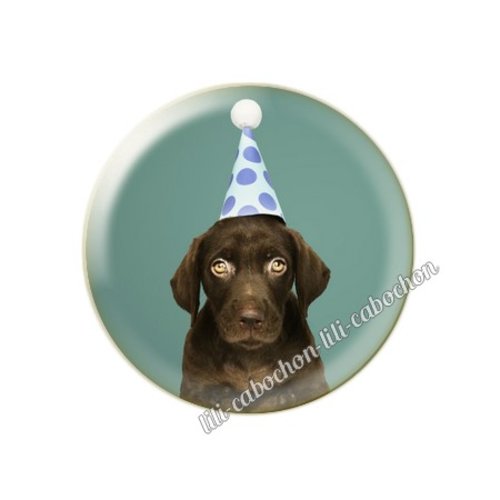 Cabochon résine a coller 25 mm noël chiot chien mc84