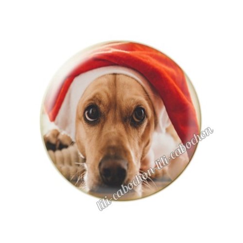 Cabochon résine a coller 25 mm noël chiot chien mc92