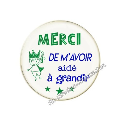 Cabochon résine a coller 25 mm merci de m'avoir aidé à grandir 41