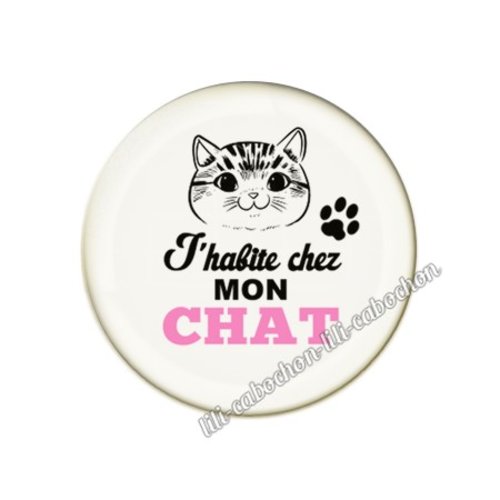 Cabochon résine a coller 25 mm chat pp82