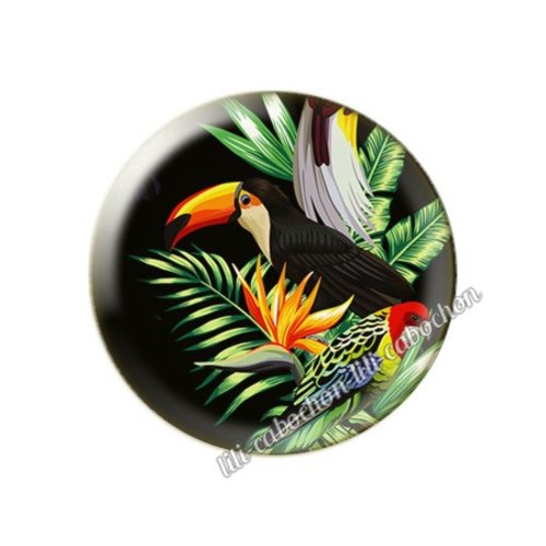 Cabochon résine a coller 25 mm tropical toucan pp109