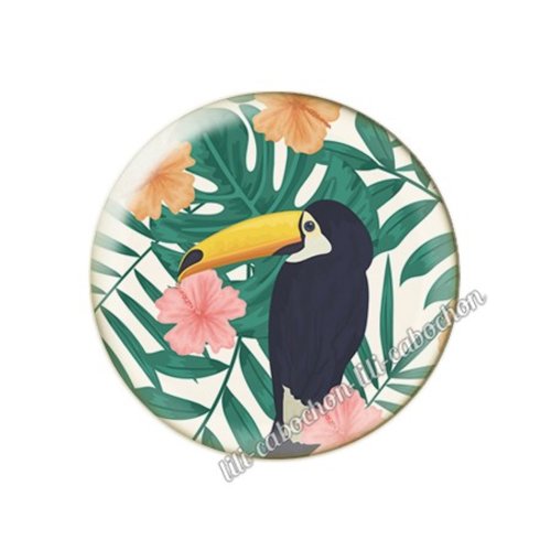 Cabochon résine a coller 25 mm tropical toucan pp111