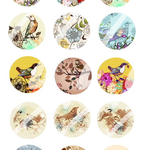 Téléchargement immédiat: images digitales pour cabochons à imprimer oiseaux 5