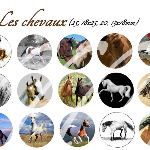 Téléchargement immédiat: images digitales pour cabochons à imprimer cheval