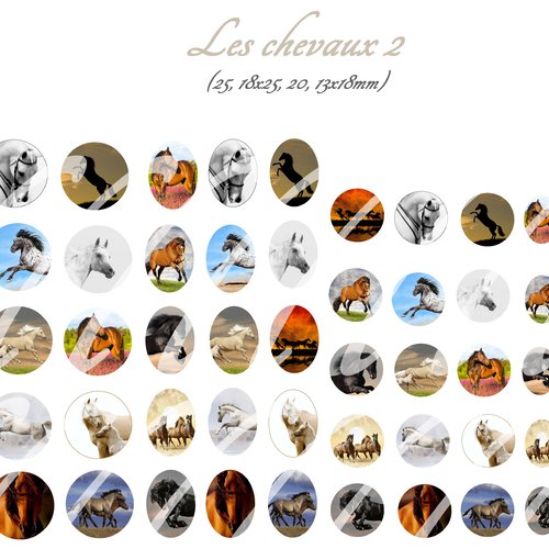 Téléchargement immédiat: images digitales pour cabochons à imprimer cheval 2