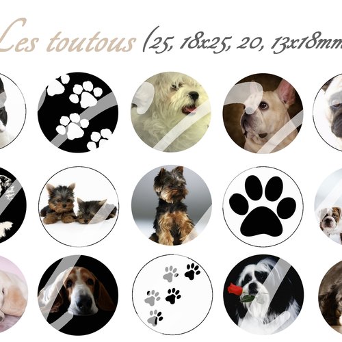 Téléchargement immédiat: images digitales pour cabochons à imprimer chien