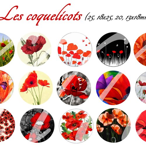 Téléchargement immédiat: images digitales pour cabochons à imprimer coquelicot