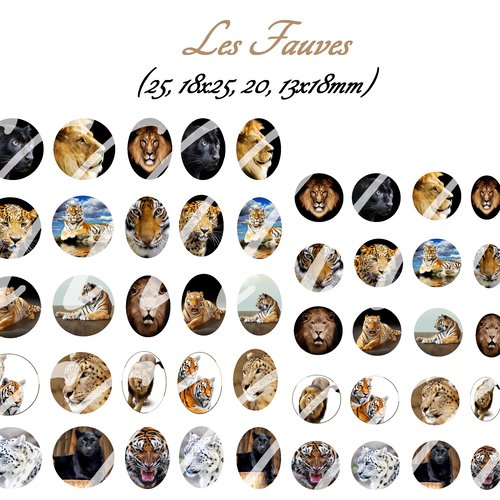 Téléchargement immédiat: images digitales pour cabochons à imprimer fauves