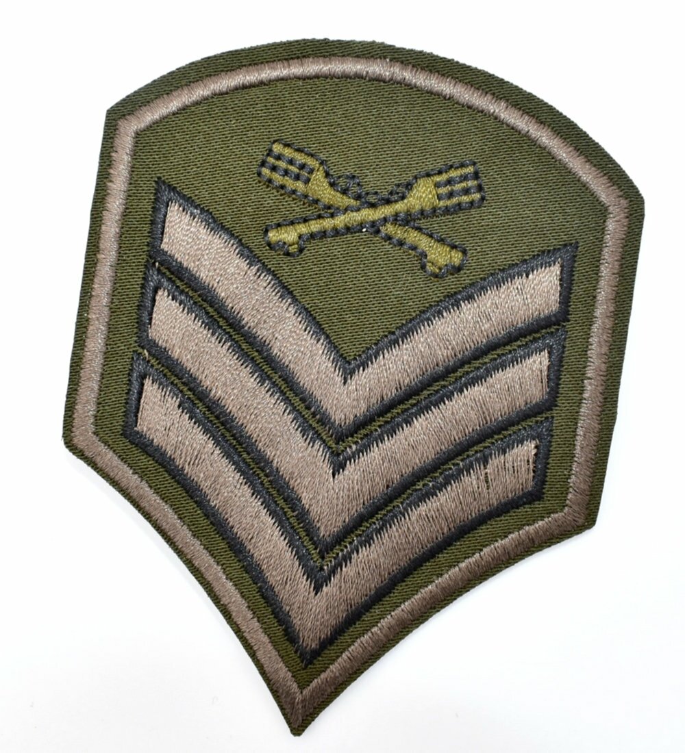 Patche écusson Army insigne armée patch militaire brodé thermocollant 