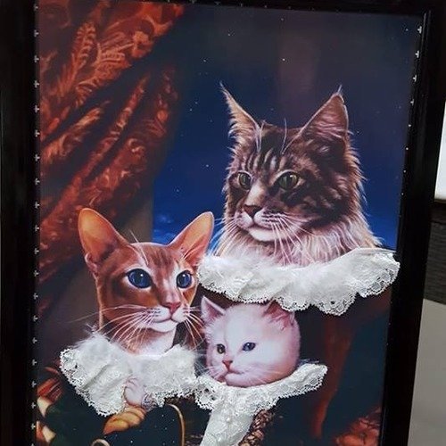 Collection cadre famille chat de grand maître sur carton plume 