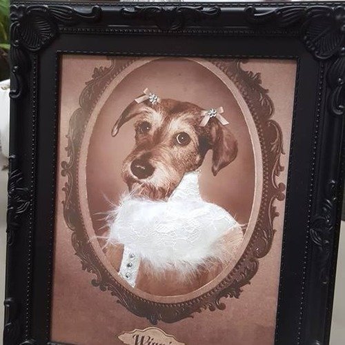 Collection cadre baroque chien winnie vintage sur carton plume 