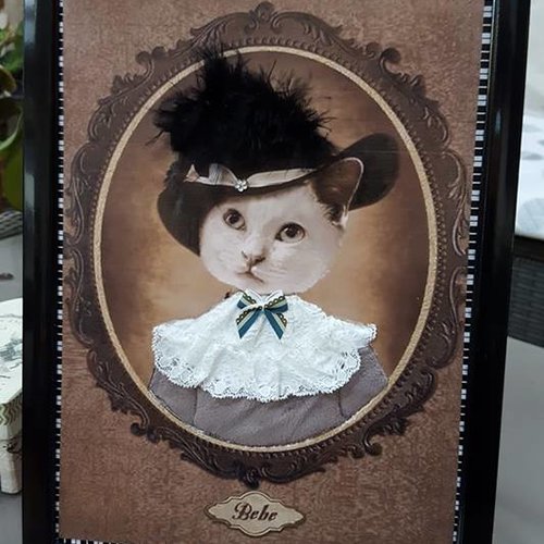 Cadre chat vintage sur carton plume 