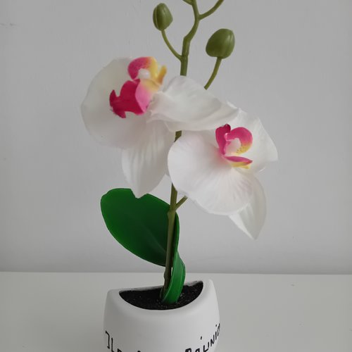 Souvenir ile de la réunion : magnet frigo (orchidée dans son pot) - haut de 24 cm