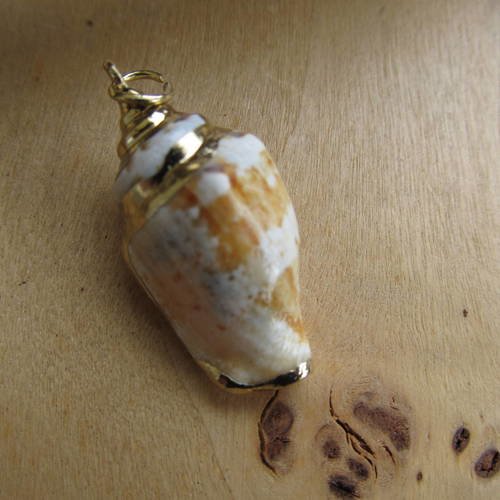 Coquillage naturel monté en pendentif de 25 à 30 mm sur bélière dorée.