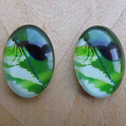 Lot de 2 cabochon en verre de forme ovale de 25 x 18 mm avec image de fond thème: libellule.