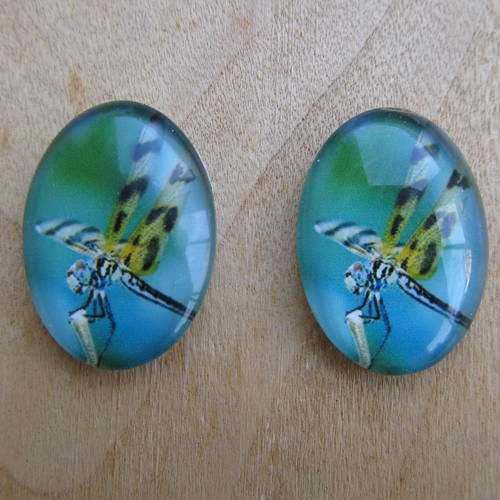 Lot de 2 cabochon en verre de forme ovale de 25 x 18 mm avec image de fond thème: libellule.