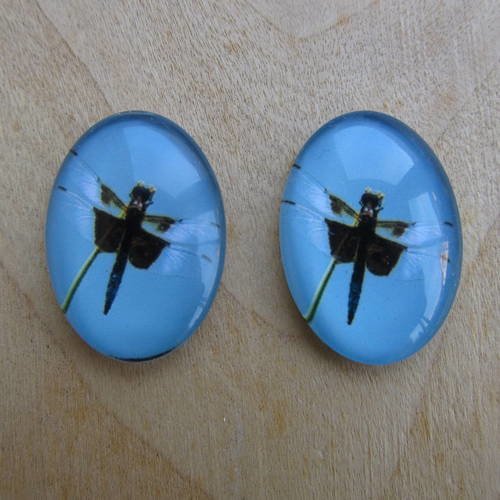 Lot de 2 cabochon en verre de forme ovale de 25 x 18 mm avec image de fond thème: libellule.