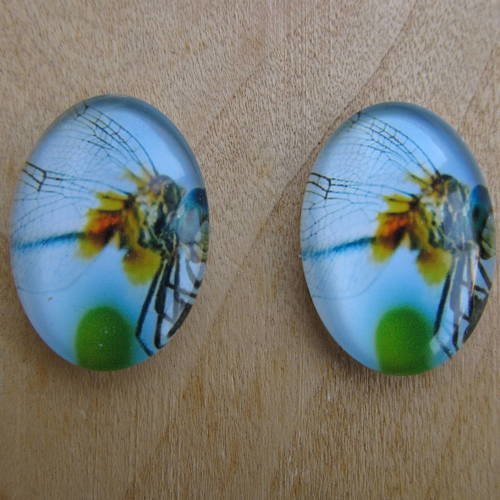 Lot de 2 cabochon en verre de forme ovale de 25 x 18 mm avec image de fond thème: libellule.