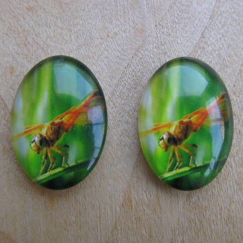 Lot de 2 cabochon en verre de forme ovale de 25 x 18 mm avec image de fond thème: libellule.