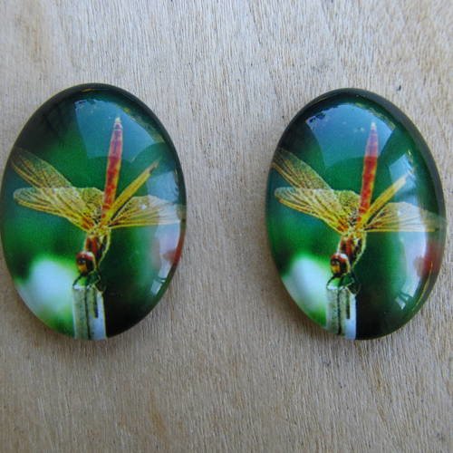 Lot de 2 cabochon en verre de forme ovale de 25 x 18 mm avec image de fond thème: libellule.