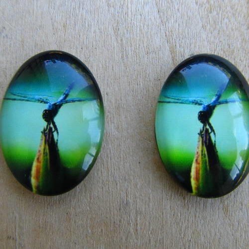 Lot de 2 cabochon en verre de forme ovale de 25 x 18 mm avec image de fond thème: libellule.