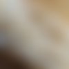 Lot de vingt perles de 6mm  en verre opaline teinté blanc laiteux (imitation opale).