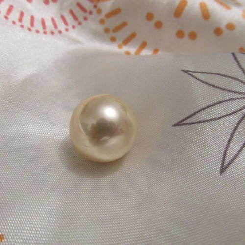 Perle en coquillage nacrée de grade a, diamètre de 16mm couleur: jaune doré. 