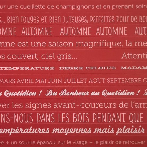 Planche de 12 stickers "mots & phrases en français"