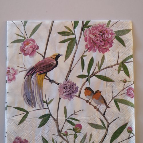 Serviettes en papier motifs oiseaux 