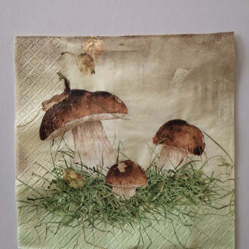 Serviettes en papier thème nature "les champignons" 